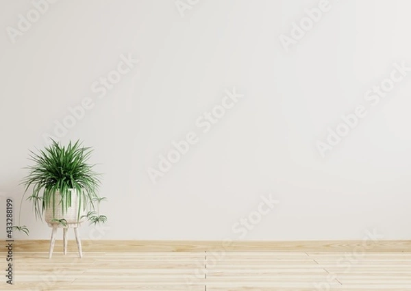 Obraz Empty room white walls with beautiful plants sideways on the floor.3d rendering.