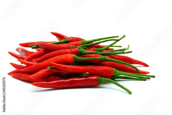 Obraz Red Hot Chili