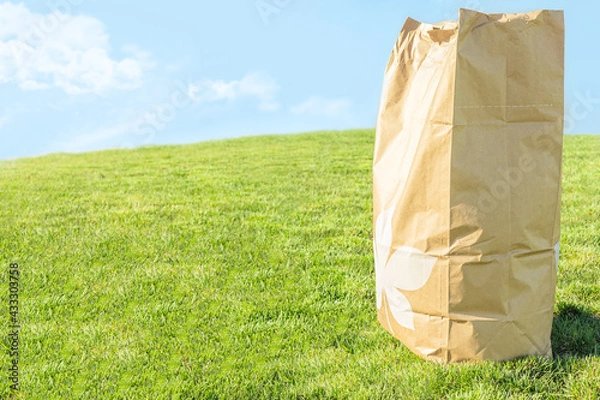 Fototapeta Brown craft paper bag for yard waste place on green grass field against bright cloudy blue sky background, depth of field. Trash management with eco friendly environment concept with copy space.