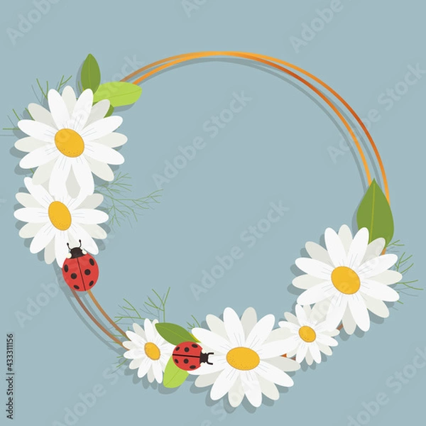 Obraz chamomile with frame