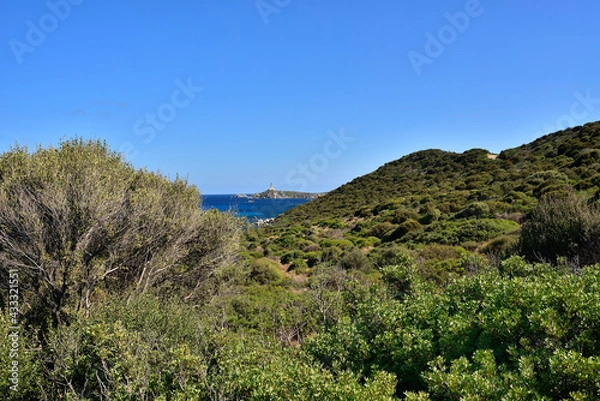 Obraz Typical landscape with evergreen maquis and pure lazur coast on the Spanish Tower and the beach Mare Pintau in Sardinia, Italy.