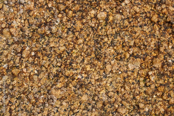 Obraz grainy sea rock texture