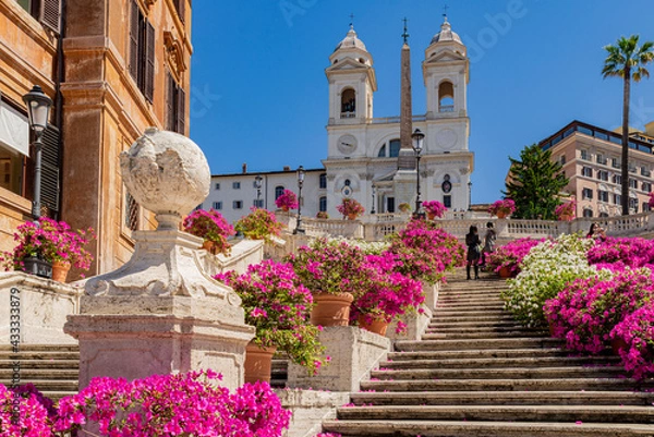 Fototapeta Perspective panorama of the famous Spanish Steps with the Trinita dei Monti church the obelisk in the center of Rome, with a blue sky, clouds and azaleas flower display.Rome, Italy.