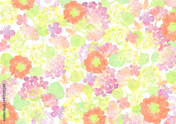 Fototapeta 水彩で描いたカラフルな花の模様