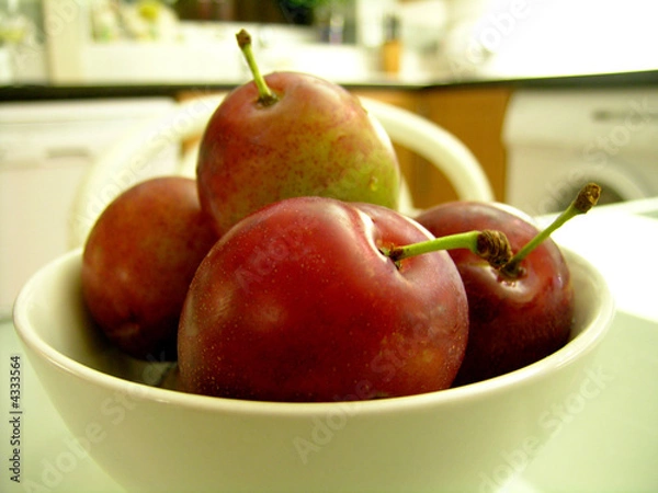 Obraz Plum Dish