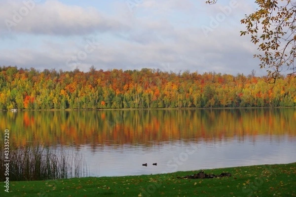 Fototapeta fall at the lake