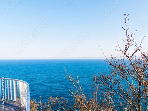 Fototapeta tree on the shore