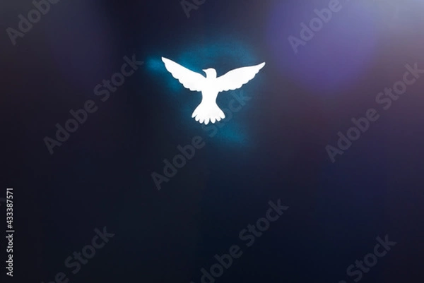 Obraz White dove silhouette on dark background with blue and purple light glares.