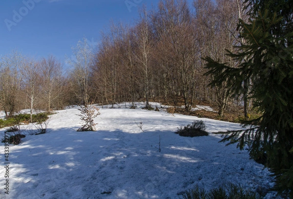 Fototapeta Bieszczady