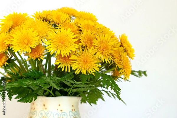 Fototapeta Lush bouquet of yellow dandelions in a light vase