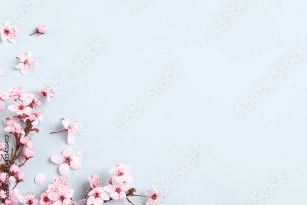 Fototapeta Beautiful spring tree blossoms as border on light background, flat lay. Space for text