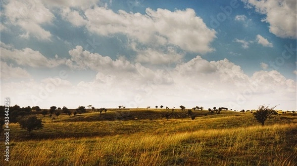 Fototapeta landscape with clouds