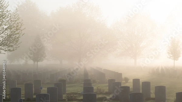 Obraz The Canadian War Cemetery in Groesbeek