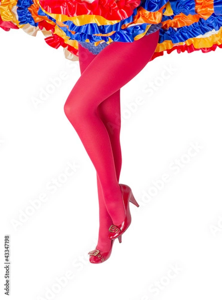 Obraz Can-can dancer