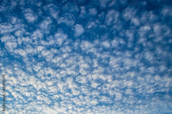 Fototapeta Beautiful summer sky background with altocumulus clouds that look like cotton pads with copy space