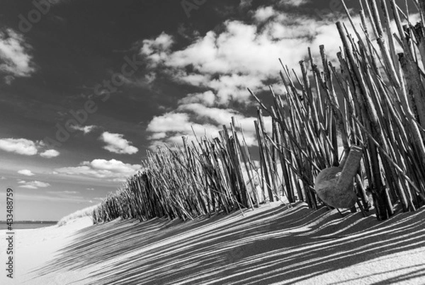 Obraz Strandzaun mit Ohrwärmer