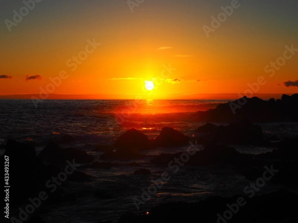 Fototapeta OLYMPUS DIGITAL CAMERA