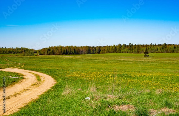 Fototapeta path in the field
