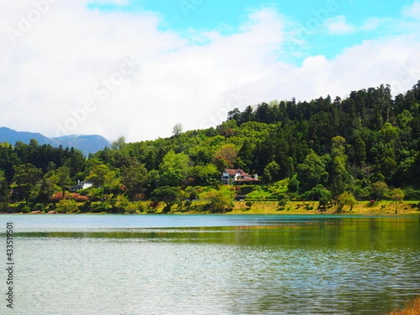 Obraz OLYMPUS DIGITAL CAMERA