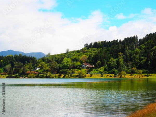 Obraz OLYMPUS DIGITAL CAMERA