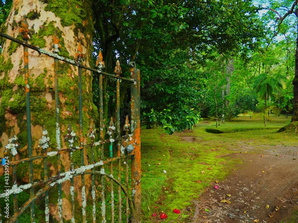 Fototapeta OLYMPUS DIGITAL CAMERA