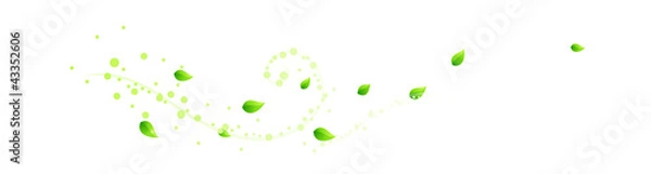 Fototapeta vector icon ivy