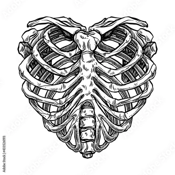Obraz Skeleton heart shape