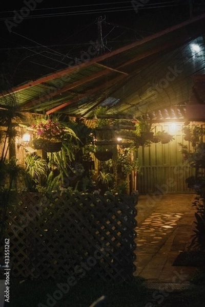 Fototapeta Back yard
