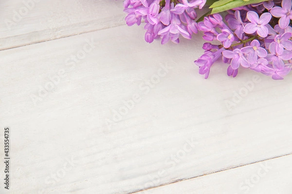 Obraz Closeup branch of blooming lilac on white rustic wooden surface. Space for product or text on foreground. Purple flowers wallpaper