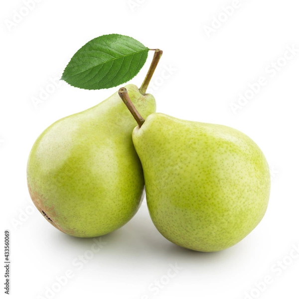 Obraz Two ripe pears