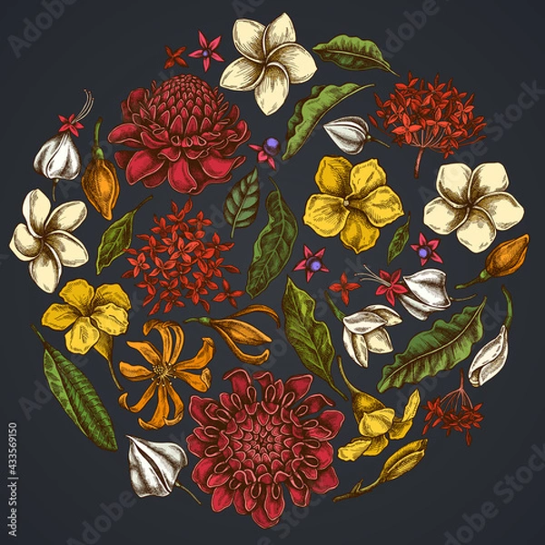 Fototapeta Round floral design on dark background with plumeria, allamanda, clerodendrum, champak, etlingera, ixora