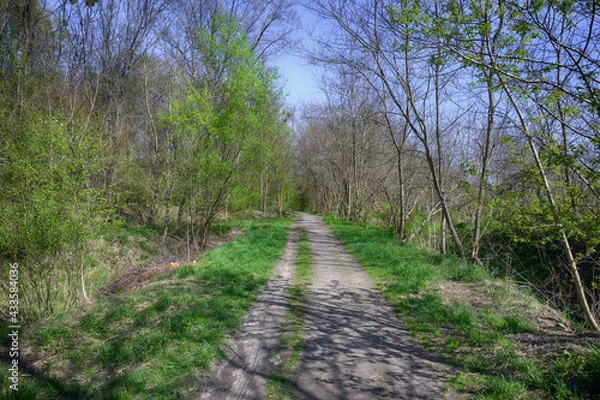 Fototapeta Lviv city spark in the early spring season
