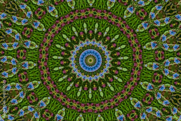 Fototapeta Kaleidoscope green abstract pattern background of blue butterflies, stock photo image