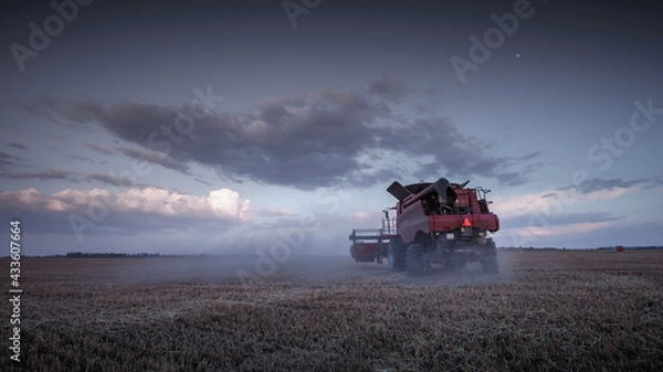 Fototapeta Mechanized harvesting of grain in an agricultural field. Bright, evening, summer landscape with a combine harvester. Idyllic rural background, wallpaper, design. Selective, soft focus. Tinted photo.
