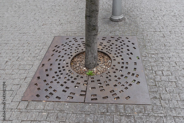 Fototapeta Rounded metal tree grille grate, cast iron tree guard bed tree protection with some urban dirt and rubbish