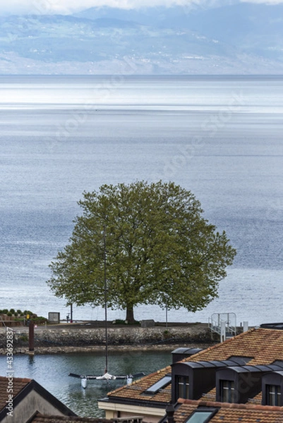 Fototapeta view of old city and waterfront of Nyon, canton of Vaud in Switzerland