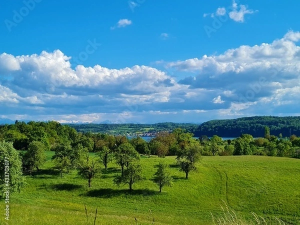 Obraz am Bodensee bei Überlingen