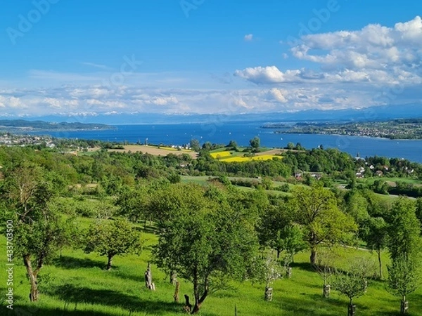 Obraz bei Überlingen am Bodensee