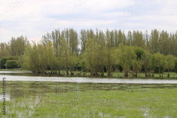 Obraz Tudor Schleurholts