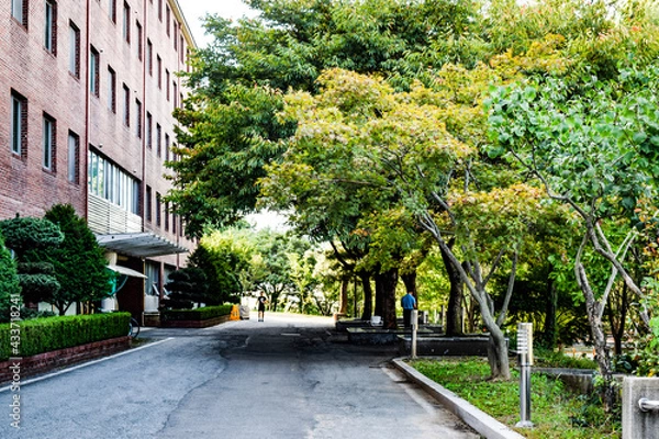 Obraz 韓国、大邱大学を散策する