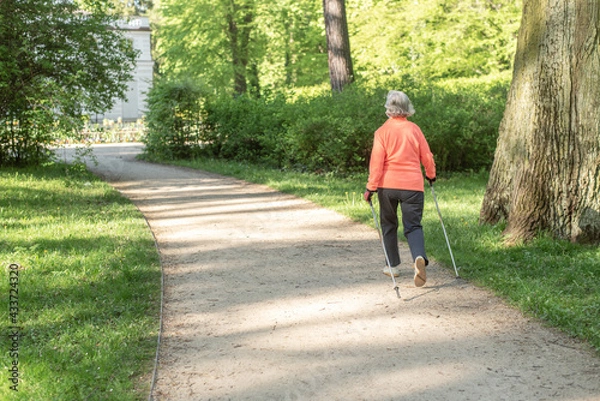 Obraz Nordic walking for the elderly. Grandma is walking in the park. Active rest for grandparents.