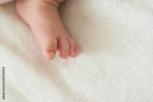 Fototapeta 赤ちゃんの足