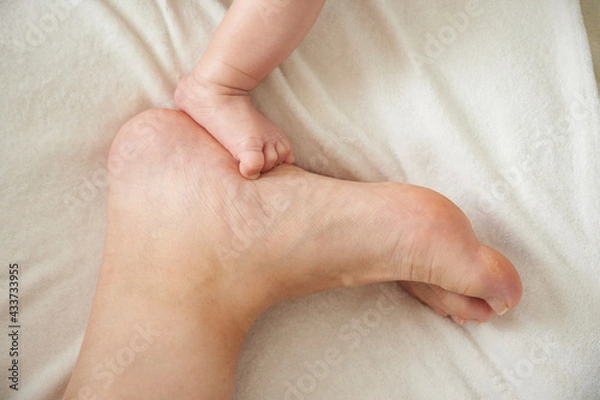 Fototapeta 赤ちゃんの足