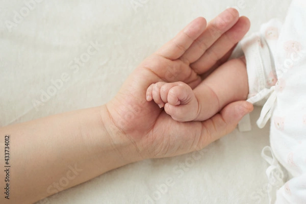 Fototapeta 赤ちゃんの手