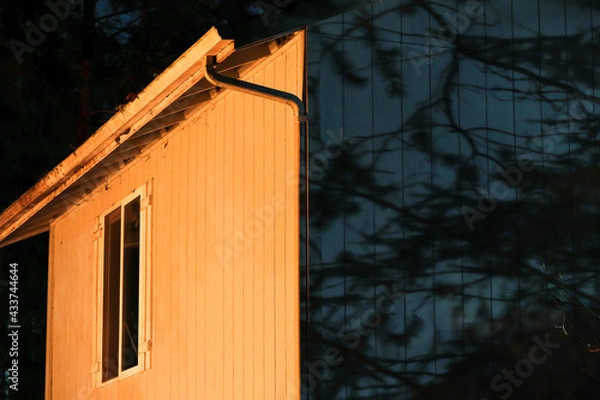 Fototapeta a house glowing in fire light with shadows of trees