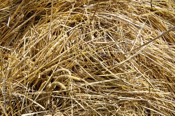 Fototapeta haystack closeup