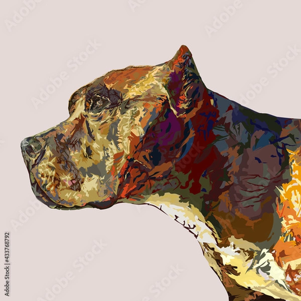 Fototapeta American pit bull terrier portrait in profile