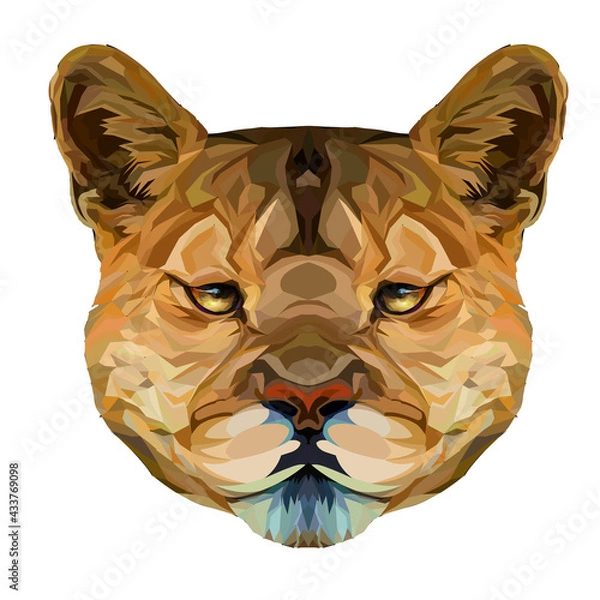 Fototapeta Puma polygonal portrait