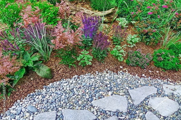 Fototapeta Backyard Garden Modern Designed Landscaping. Decorative Garden Design. Back Yard Lawn And Natural Mulched Border Between Grass, Plants And Pebble, Gravel Or Stone Walk Path.
