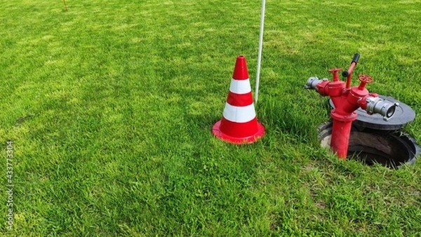 Obraz fire hydrant on the lawn